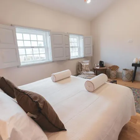 Quinta De Travassinhos- Douro Valley & Farmház