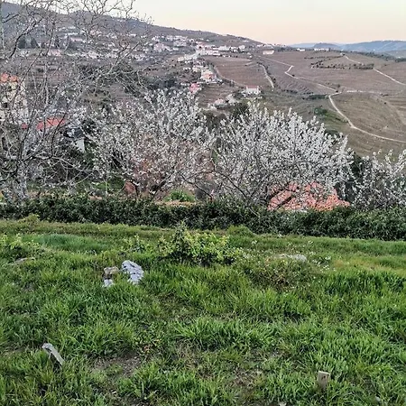 Quinta De Travassinhos- Douro Valley &