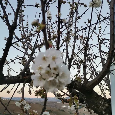 Quinta De Travassinhos- Douro Valley & * Santa Marta de Penaguião