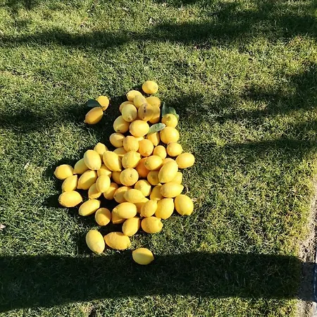 Quinta De Travassinhos- Douro Valley & Farmház