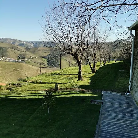 Quinta De Travassinhos- Douro Valley & Κατάλυμα σε φάρμα