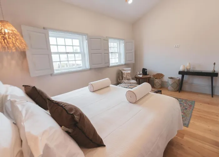 Quinta De Travassinhos- Douro Valley & Feriegård