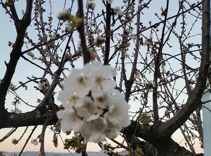 Quinta De Travassinhos- Douro Valley & * Santa Marta de Penaguião