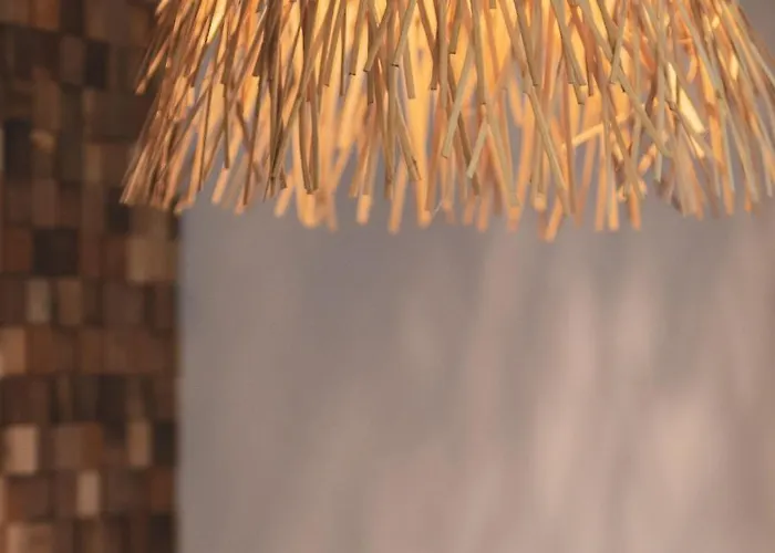 Quinta De Travassinhos- Douro Valley & Feriegård