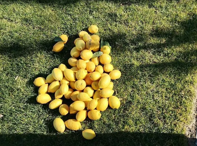 Quinta De Travassinhos- Douro Valley & مزرعة للإقامة