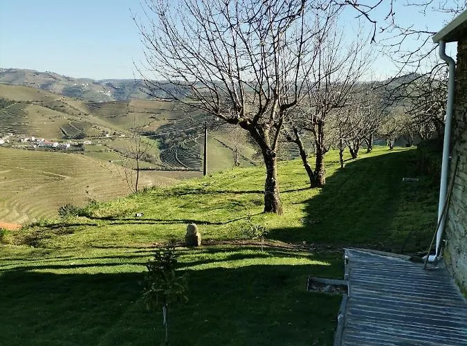 Quinta De Travassinhos- Douro Valley & مزرعة للإقامة